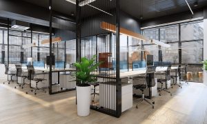 Office Fitout (1)